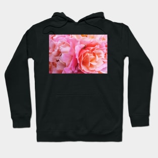 Pink Roses Bouquet Petals Texture Hoodie